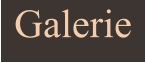 Galerie
